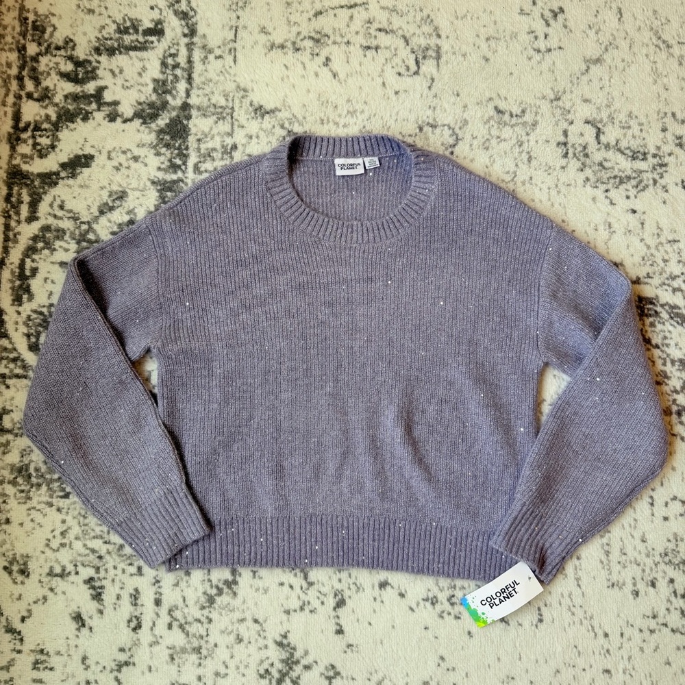 Colorful Planet Women Sweater XXL Purple Sequin Knit Crew Neck Pullover NWT